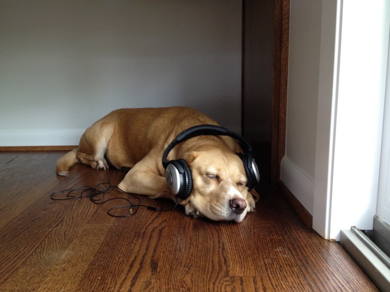 Sometimes you just need to sit in a corner and listen to a podcast. Credit: Flickr/David Hale Smith (Creative Commons)

