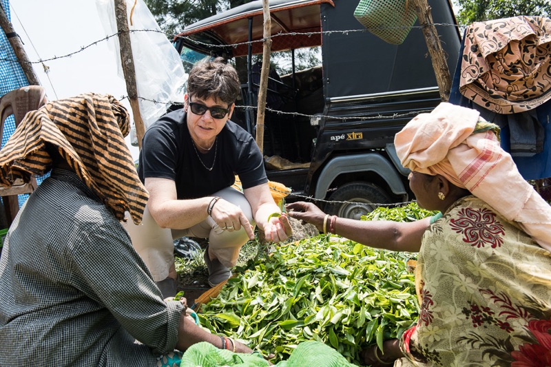 Kim Severson at a tea planation in Kerala, India.